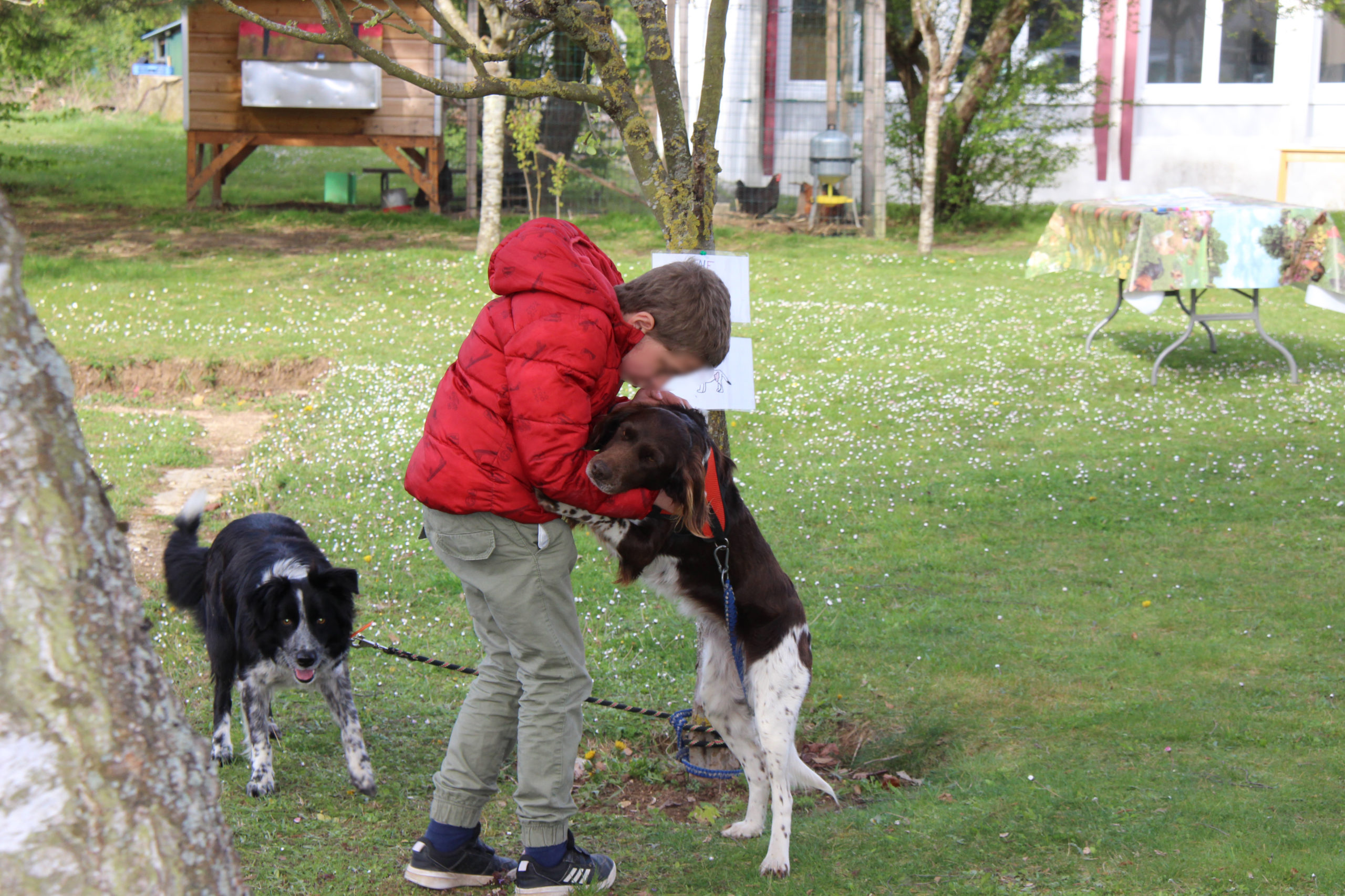 un jeune fait un bisou à un chien - groupe de jeune pendant un atelier - Ferme pédagogique à l'IME Les Papillons Blancs