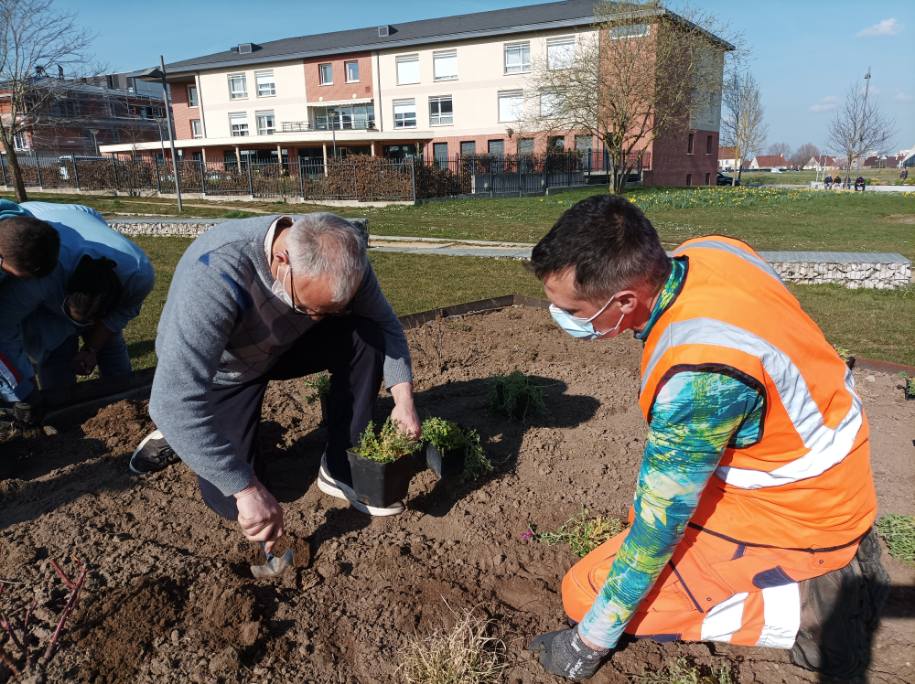 Un ouvrier de la ville et un résident plantent un végatal.