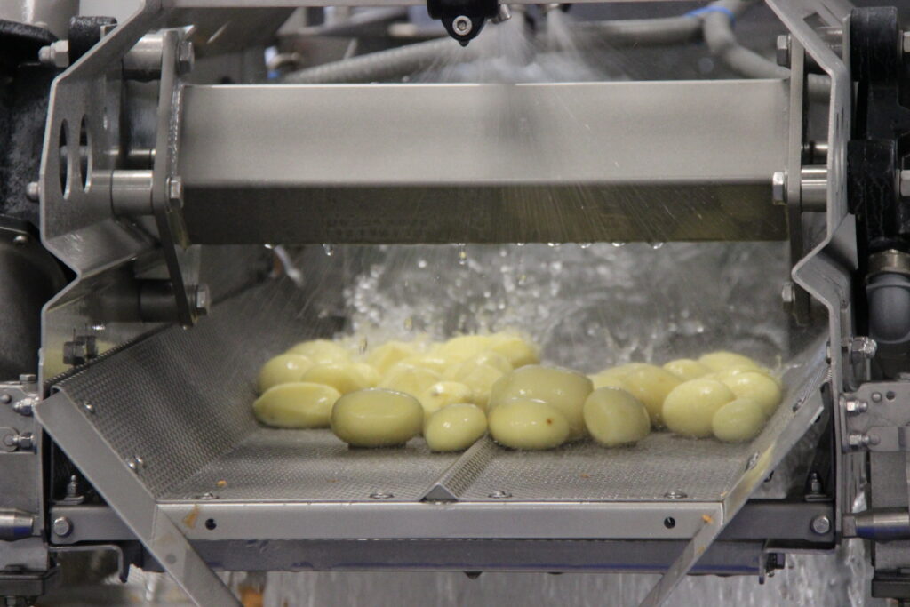 Pommes de terre lavées par la machine dans la légumerie de l'ESAT du Thérain