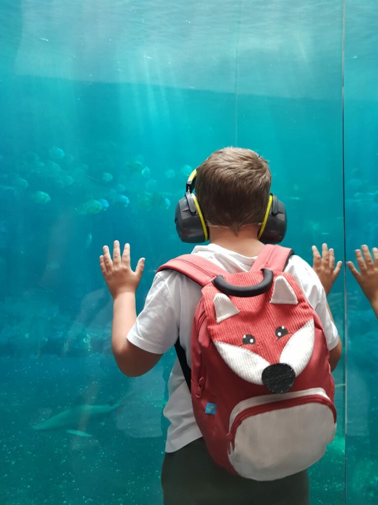 Un enfant observe les poissons à l'aquarium Nausicaa lors d'une sortie estivale avec la plateforme de répit