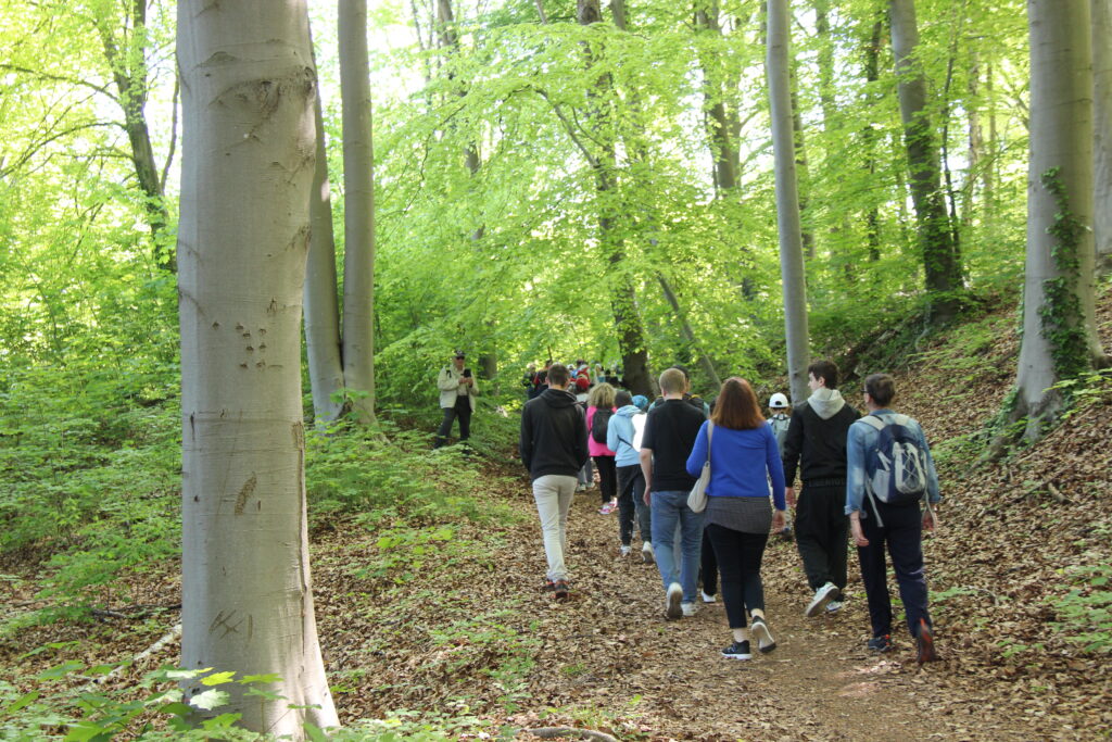 Dans le cadre des journées de fête des 60 ans de l'Unapei de l'Oise, les personnes accompagnées par l'association marchent en forêt