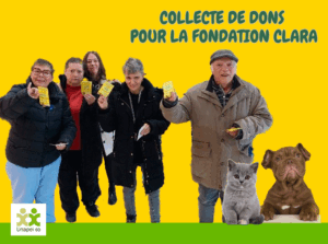 bilan collecte de dons FAM x Fondation Clara - vignette d'illustration