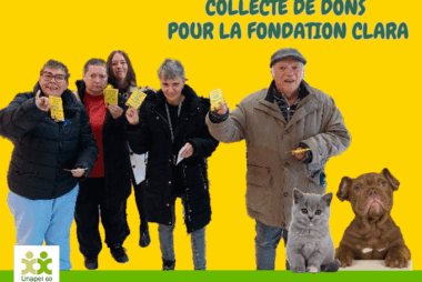 bilan collecte de dons FAM x Fondation Clara - vignette d'illustration
